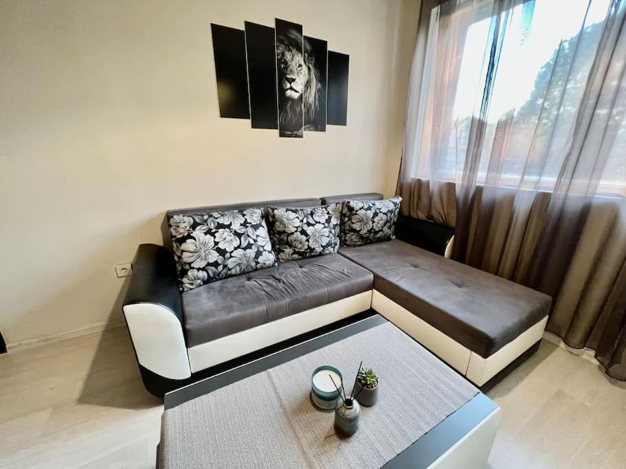 Sof Apartment'S 소피아 외부 사진