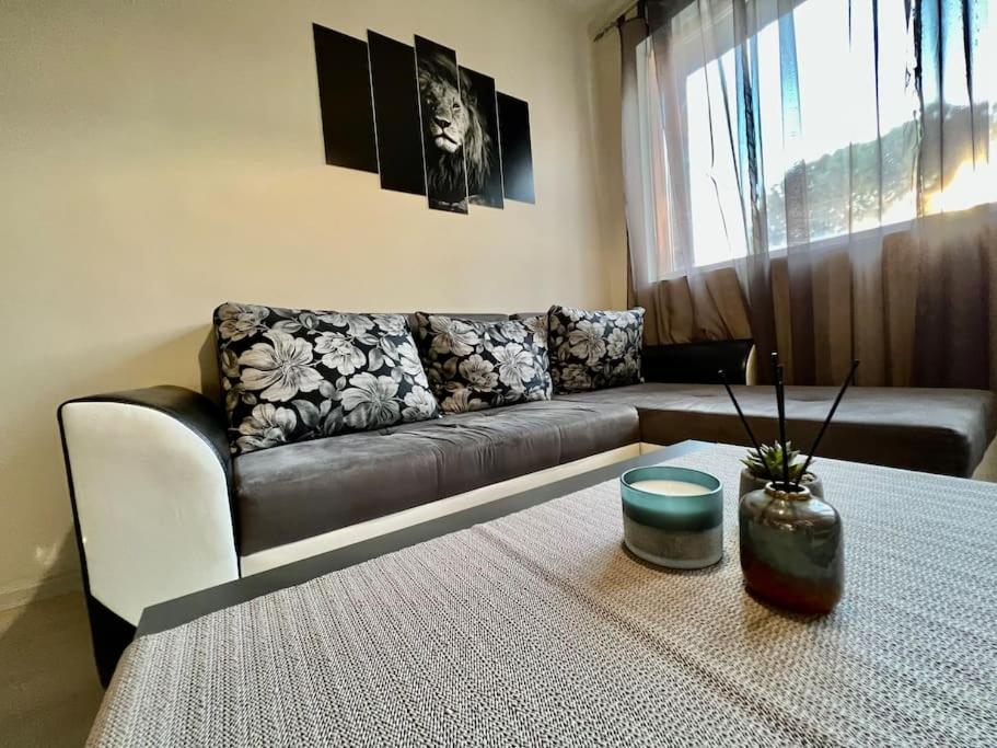 Sof Apartment'S 소피아 외부 사진